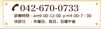 042-670-0733　診療時間：am9:00-12:00 pm4:00-7:00 休診日：木曜・祝日午後