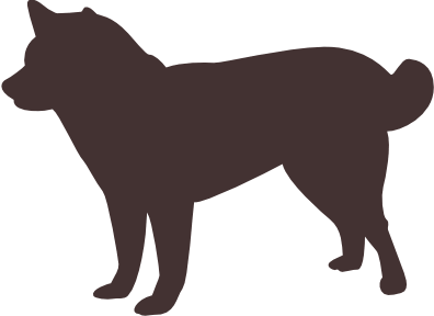 犬