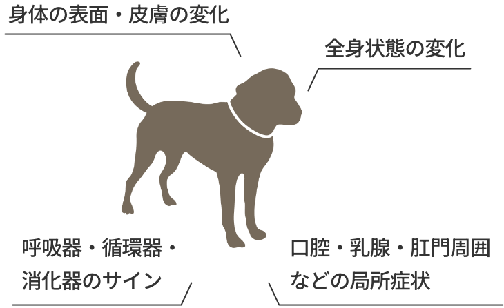 こんな症状があれば腫瘍科へ