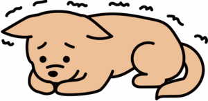 震える犬