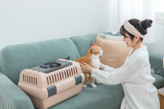 猫と飼主